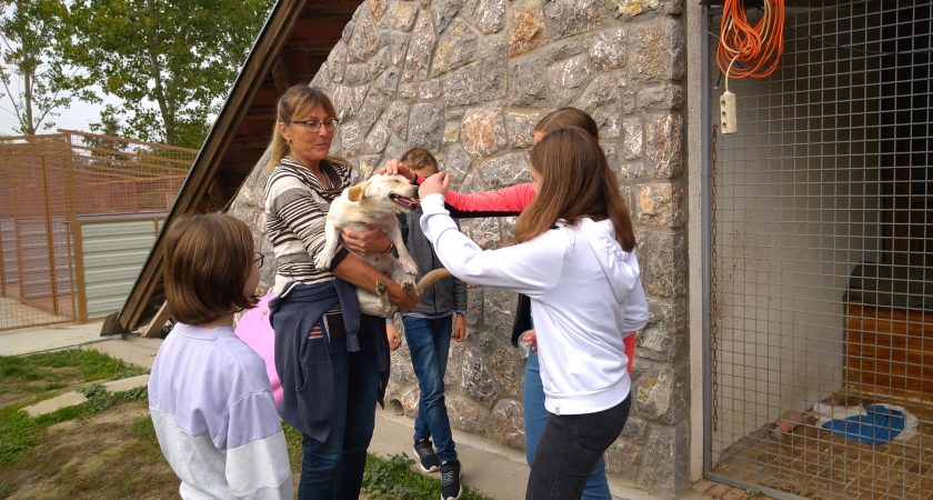 Állatok Világnapja- Látogatás a Tenkesalja Állatvédő Egyesületnél és az Apró Patáknál