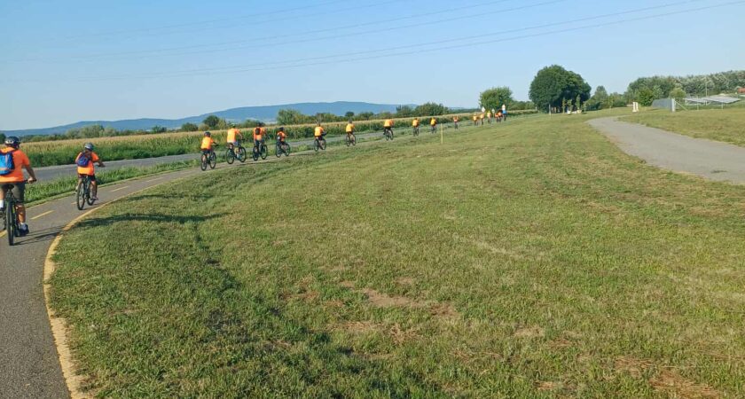 Bringás Vándortábor a Zselicben