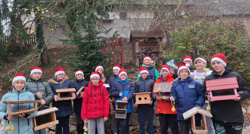 Mikulás madármenza