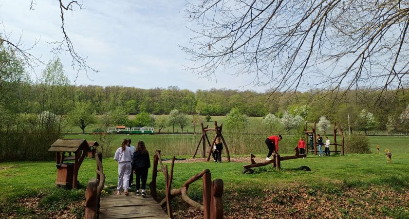 Erdei iskolában a 6. osztály