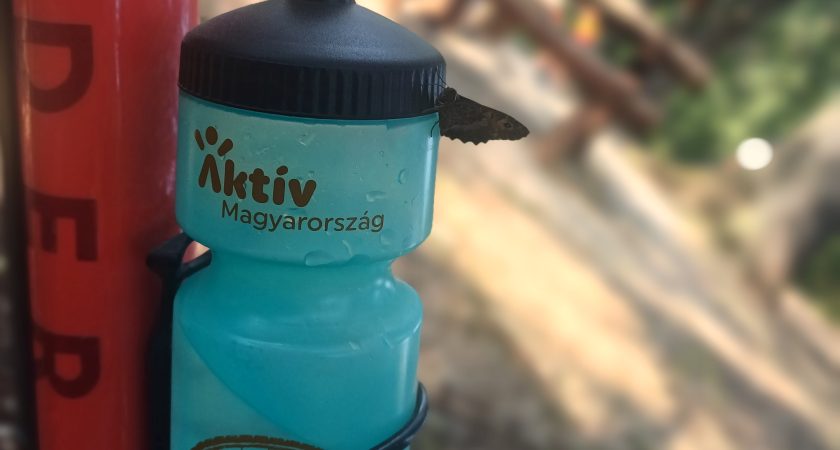 BringásVándor 2. nap